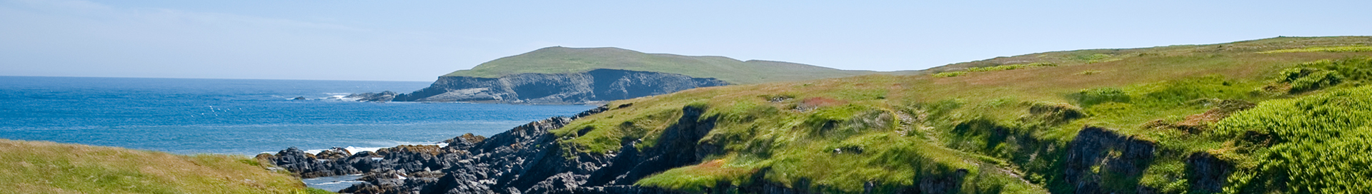 Mistaken Point Ecological Reserve, Avalon Peninsula