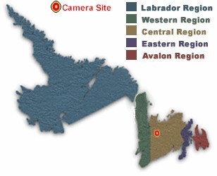 Location of birchynarrows_amec Camera