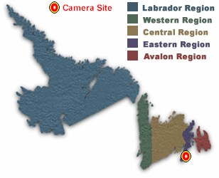 Location of Salt Pond Camera