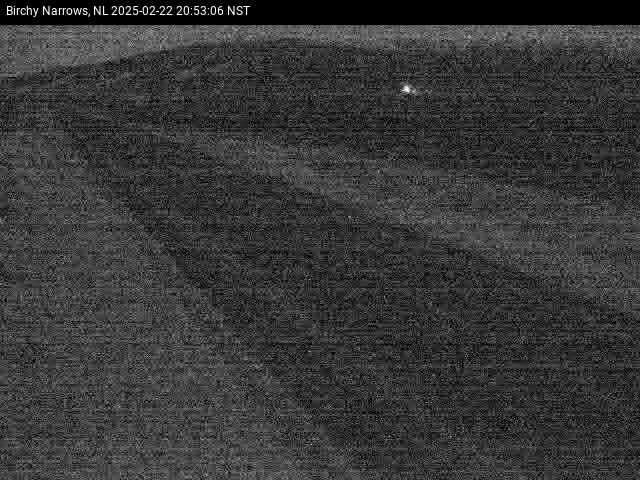 Birchy Narrows Live Camera Image