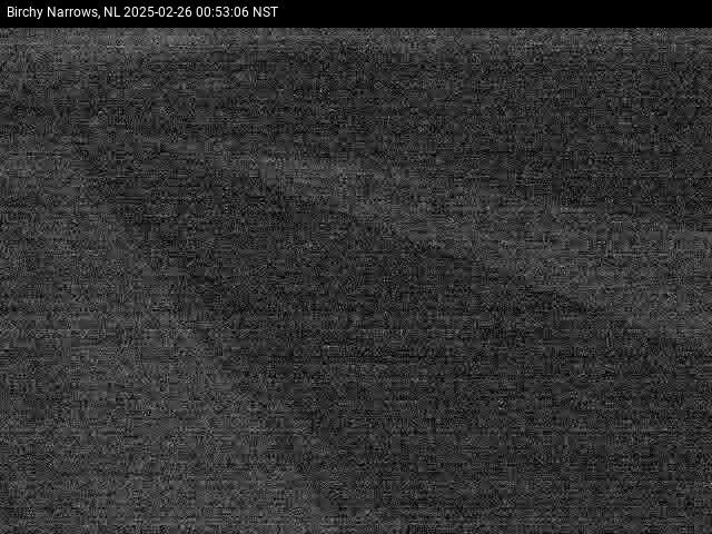 Birchy Narrows Live Camera Image