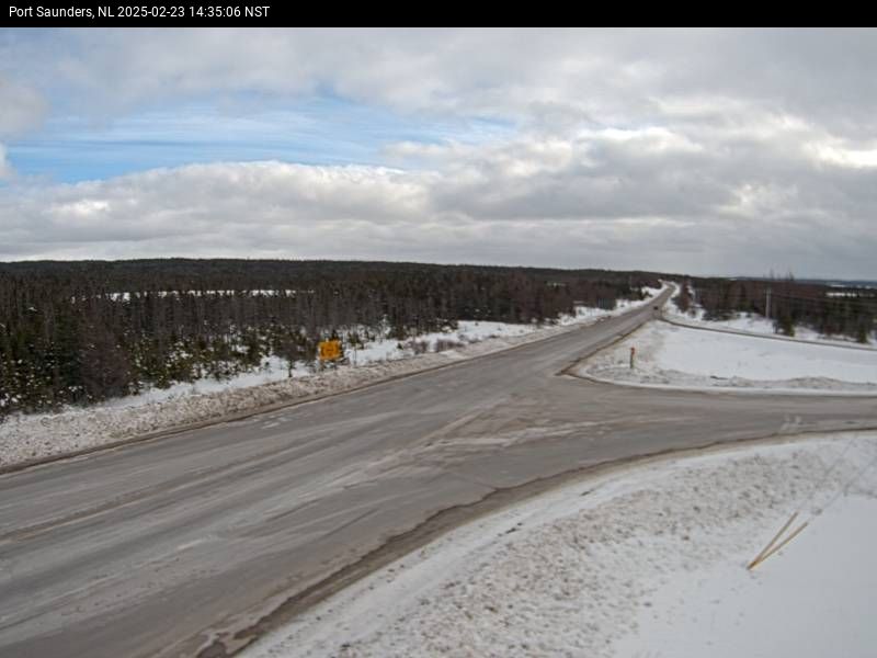 Port Saunders Live Camera Image