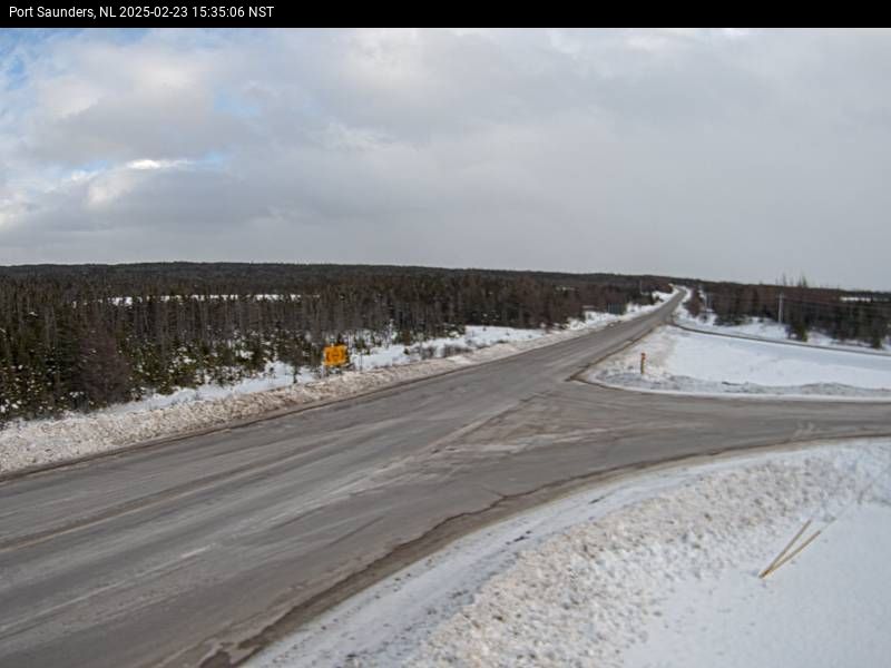 Port Saunders Live Camera Image