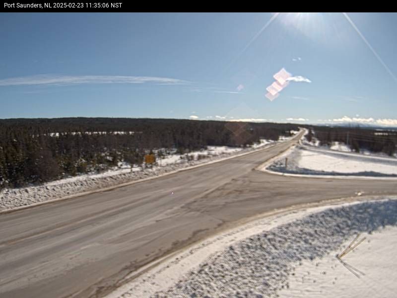 Port Saunders Live Camera Image