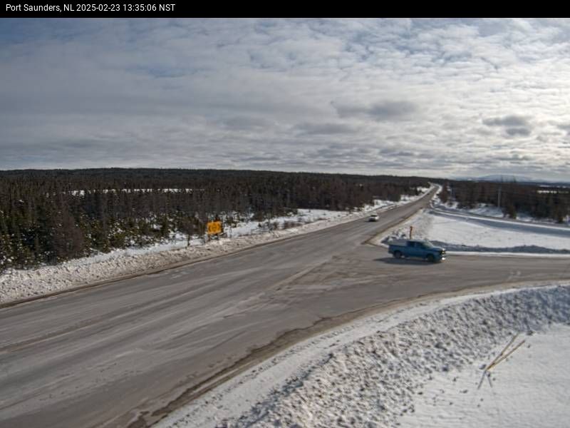 Port Saunders Live Camera Image