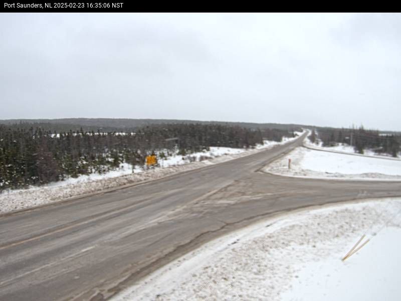 Port Saunders Live Camera Image