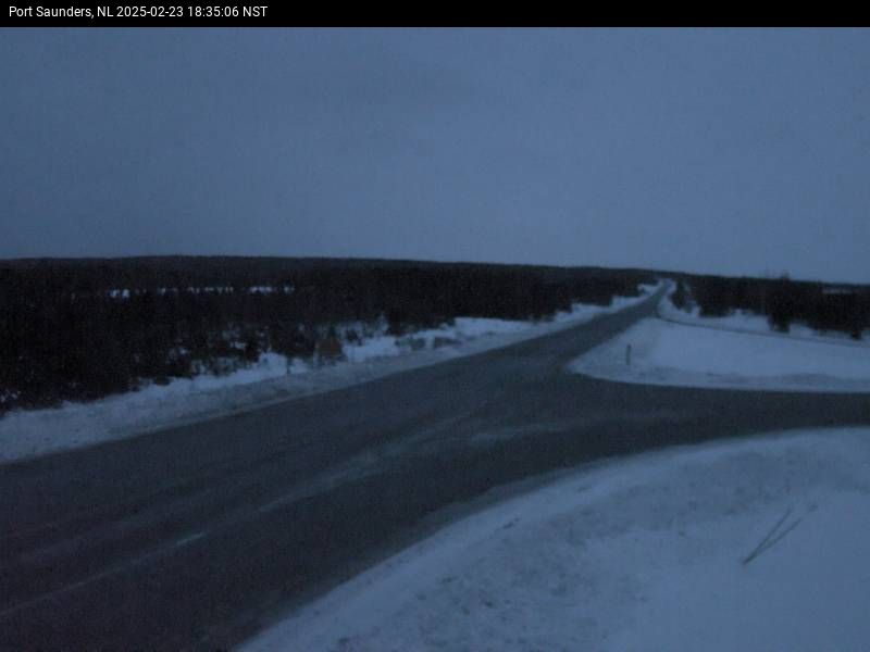 Port Saunders Live Camera Image