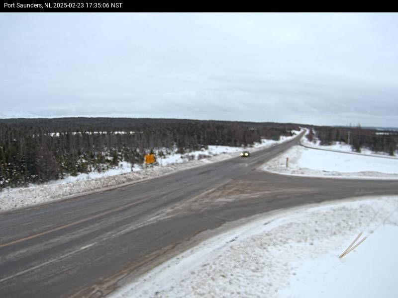 Port Saunders Live Camera Image