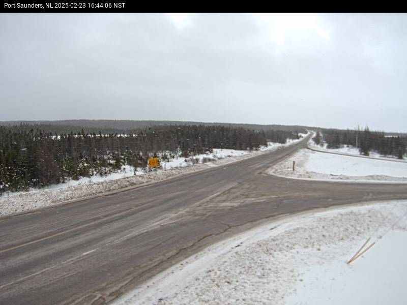 Port Saunders Live Camera Image